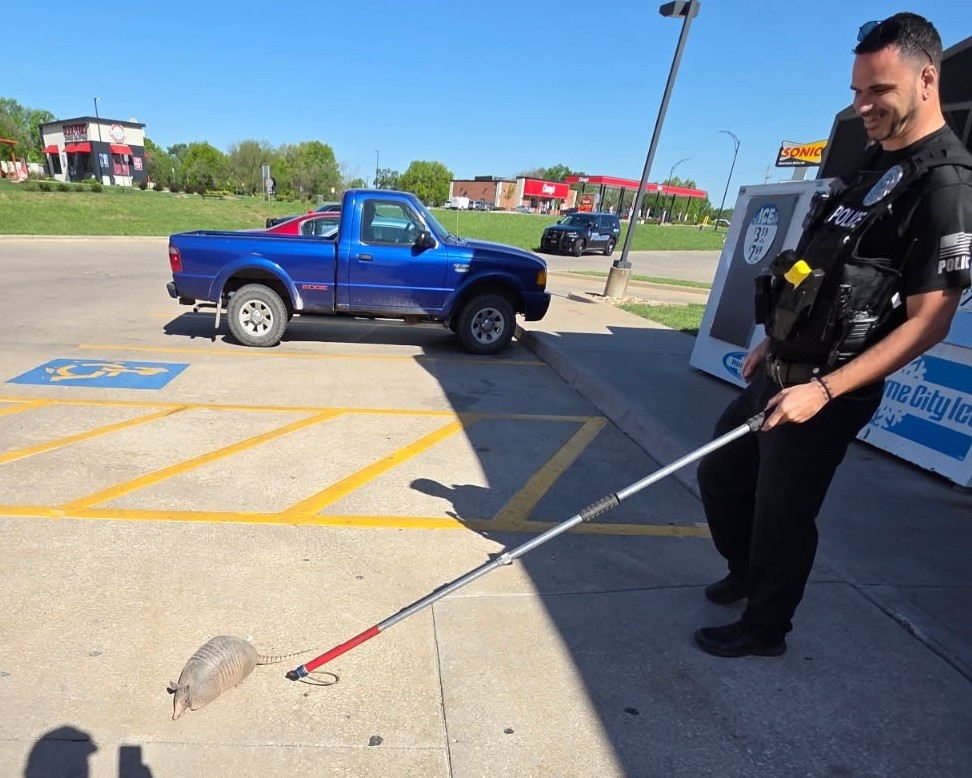 At a gas station, in the garden, at Clinton Lake – armadillos have lived in Kansas for decades, and you'll be 'seeing them more and more'